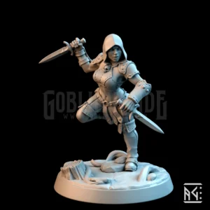 Veiled Sisterhood Rogue C Hood