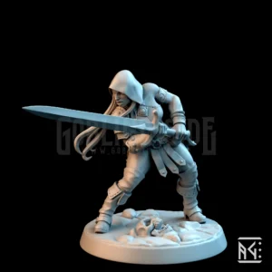 Veiled Sisterhood Rogue E Hood