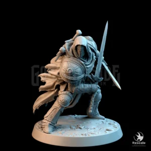 Silent Sentinel Dual Sword Guard