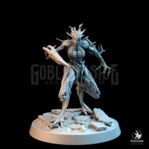 Woodfey Search Med
