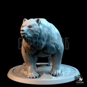 Templar Bear Soldier Watch Wild