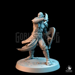 Dark Elf Shield Attack A