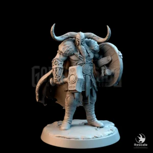 Vargir Raider Hammer Shield B