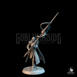 Elf Soldier Banner Walk