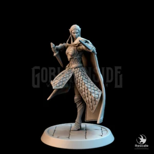 Elf Soldier Dual Dagger Stance
