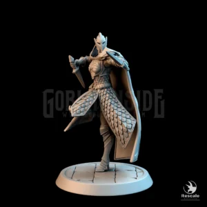 Elf Soldier Dual Dagger Stance Helm