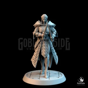 Elf Soldier Dual Dagger Walk