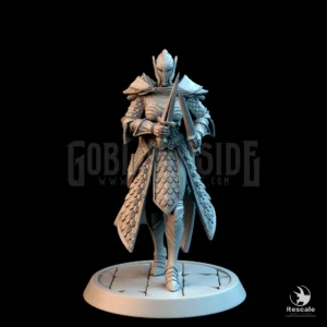 Elf Soldier Dual Dagger Walk Helm