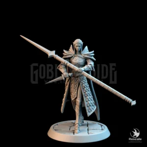 Elf Soldier Spear Dagger Walk