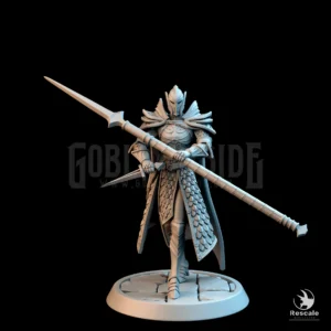 Elf Soldier Spear Dagger Walk Helm