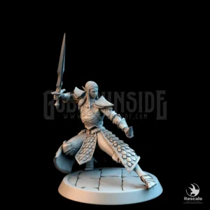 Elf Soldier Sword Dagger Low Guard
