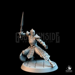 Elf Soldier Sword Dagger Low Guard Helm