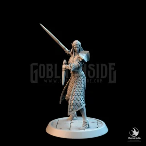 Elf Soldier Sword Dagger Prepare