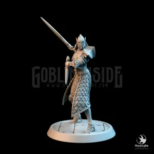Elf Soldier Sword Dagger Prepare Helm