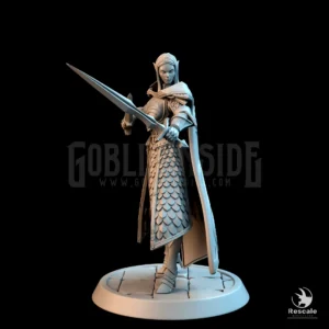Elf Soldier Sword Dagger Ready