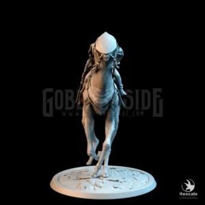 Sandstepper Gallop Mount Cape