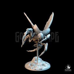 Scarab Host Fly Jump Wild