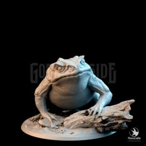 Toad Battle Ready Wild