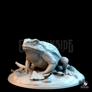 Toad Walk Wild