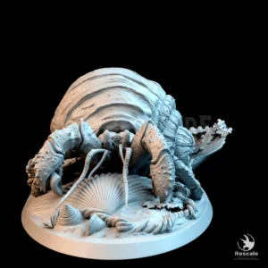 Hermit Crab Wild