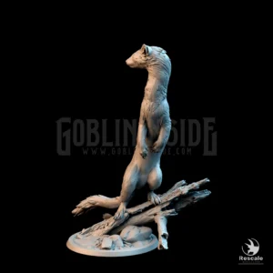 Weasel Stand Wild