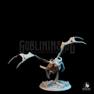 Grogbann Fly