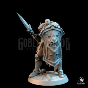 Unchained Soldier Raider Spear Block Raider
