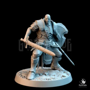Knight Of Valor Attack Sword Shield