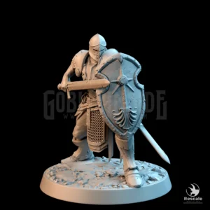 Knight Of Valor Charge Sword Shield