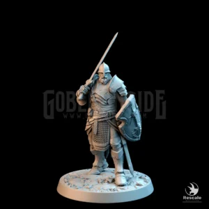 Knight Of Valor Chief Sword Shield