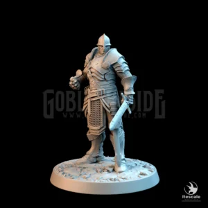 Knight Of Valor Ready Sword