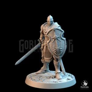 Knight Of Valor Wait Sword Shield