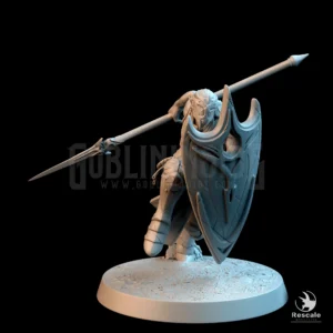 Moon Elf Sentinel Charge Spear Shield