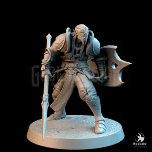 Moon Elf Sentinel Ready Spear Shield