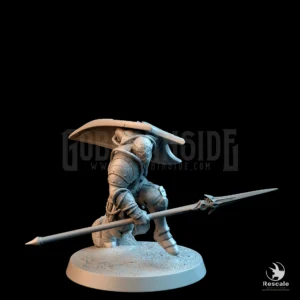 Moon Elf Sentinel Run Spear Shield