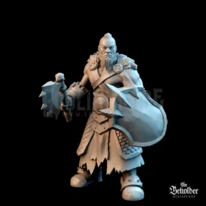AD Mountains Tribes Weapon and Shield 2